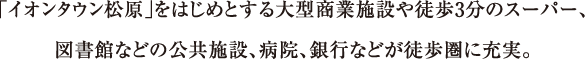 「イオンタウン松原」をはじめとする大型商業施設や徒歩3分のスーパー。図書館などの公共施設、病院、銀行などが徒歩圏に充実。