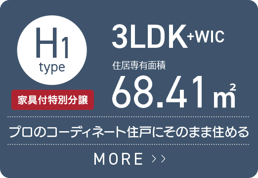 H1タイプ