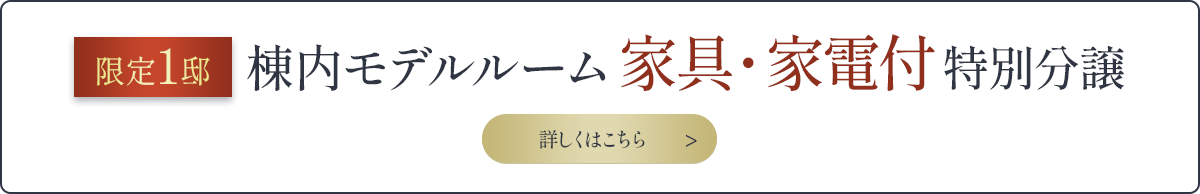 先着順申込受付中
